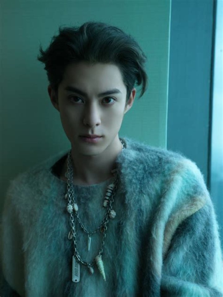 Dylan Wang - Bio, Age, Single, Nationality, Body Measurement, Career
